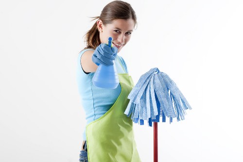 Professional cleaner in Pimlico servicing a stylish London home