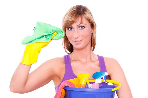SSL-encrypted Pimlico Carpetcleaning payment protection illustration