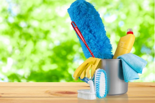 Pimlico Carpetcleaning team providing professional carpet care in a local home