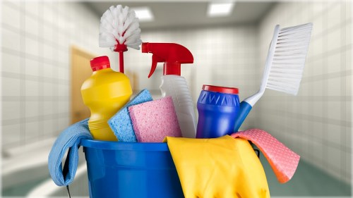 Professional cleaners in Pimlico maintaining a tidy residential home