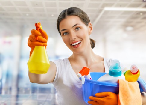 Professional carpet cleaning pricing in a Pimlico home interior