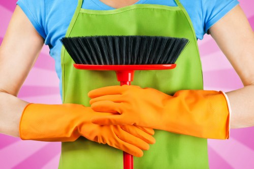 Professional domestic cleaning in a Pimlico home with fresh living space