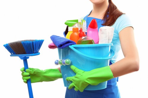 Safety assessment before a Pimlico carpet cleaning appointment