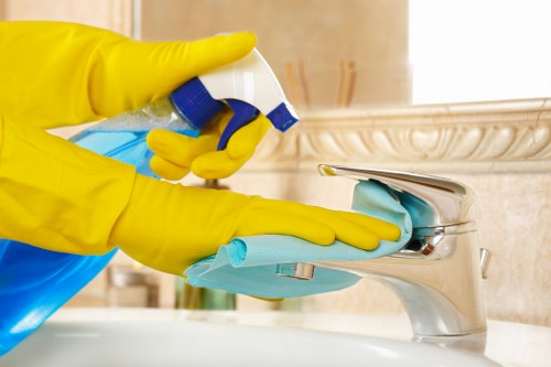 Organised house clearance process in Pimlico