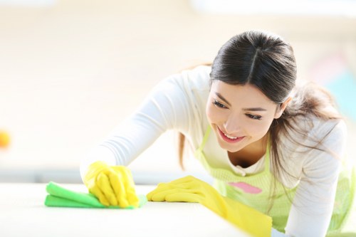 Professional after builders cleaning in Pimlico removing construction dust
