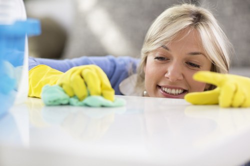 Regular domestic cleaning service keeping a Pimlico property tidy