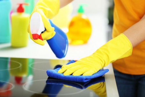 Thorough after builders cleaning of windows and surfaces in Pimlico