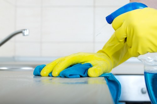 Carpet cleaning service issue being documented for assessment