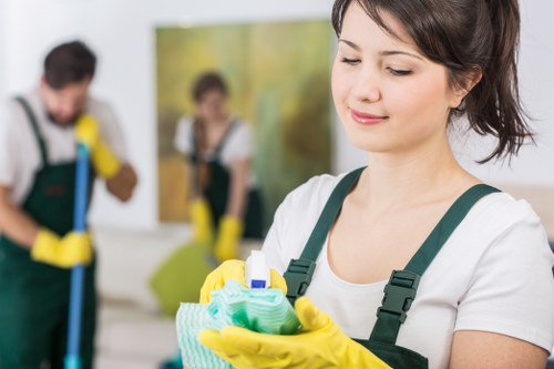 Domestic cleaning tasks carried out by a cleaner in Pimlico