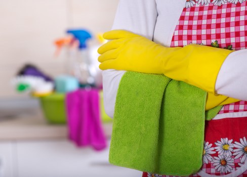 Eco-friendly home cleaning services in Pimlico for a tidy home