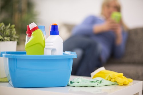 Office cleaning specialists maintaining a modern Pimlico workspace