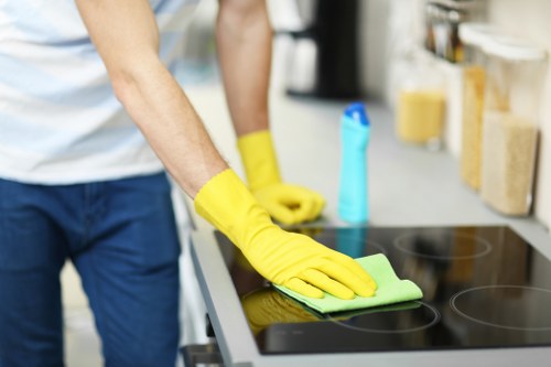 Steam cleaning carpet fibres in a Pimlico apartment