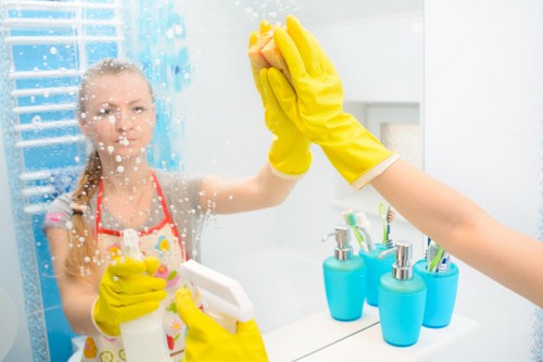 Deep carpet cleaning process removing dust and allergens from fibres