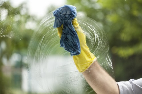 Domestic cleaning service in Pimlico with dusting and vacuuming