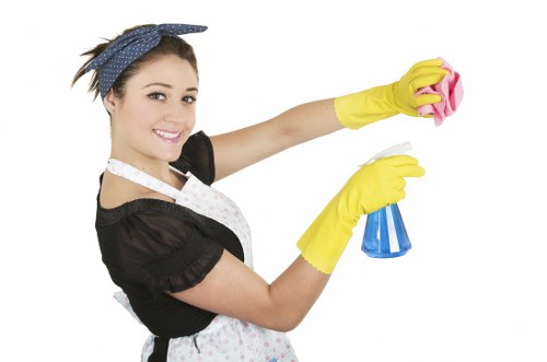 Carpet cleaning quote discussion for a period property in Pimlico