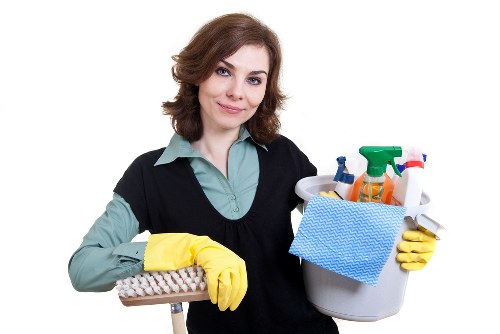 Window cleaning tools used for Pimlico residential glazing