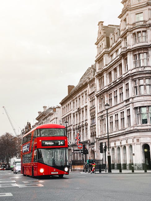 An image of a red double-decker bus on a busy street in Pimlico, with historic white terraced buildings featuring intricate architectural details and large windows lining the street. The scene is illuminated by natural daylight, and the area appears clean and well-maintained. The bus displays the route to Pimlico, indicating a typical urban setting. This scene exemplifies the cityscape where Pimlico Carpet Cleaning delivers professional cleaning and surface maintenance services for commercial and residential properties, ensuring higienic and immaculate environments. Visible elements include street lamps, pedestrians, and a traffic light, highlighting the vibrant, well-kept urban environment that Pimlico Carpet Cleaning supports.