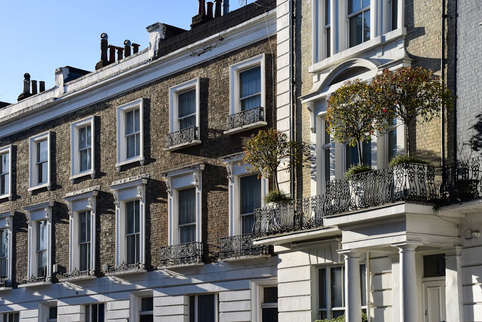 Westminster rules on mould for Pimlico landlords image